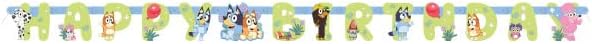 Bluey Birthday Party Supplies Bundle