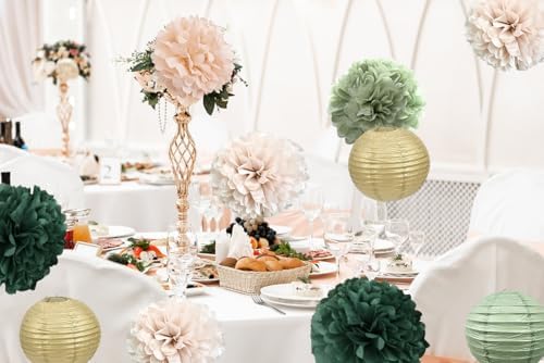 Hanging Party Decorations Tissue Pom Poms and Lanterns Backdrop