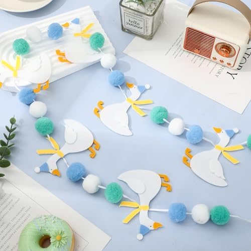 Silly Goose Birthday Banner Decorations for Boys