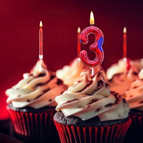 Spider Themed Birthday Banner and Candle Set