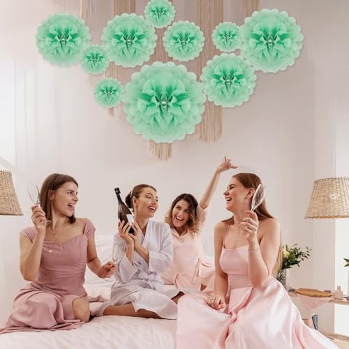 Light Green Tissue Paper Pom Poms 20 Piece Set