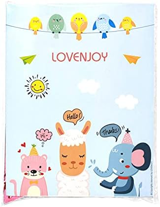 LOVENJOY 2 Rainbow Banners Felt Bunting Decorations