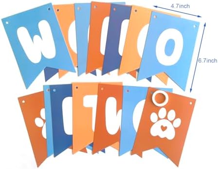 Blue Orange 2nd Birthday Decor Banner Set