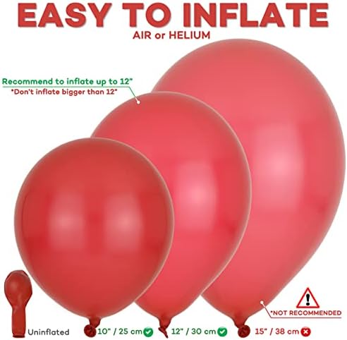 QRabbit 100 Pack 12 Inch Party Balloons