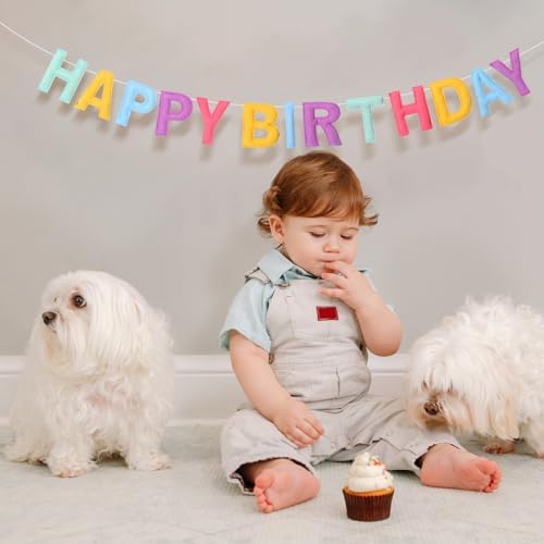 4 Pcs Felt Birthday Banner Set with Garland and Flags