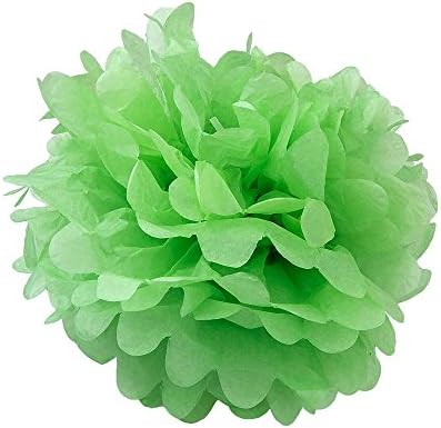 WYZworks 16 Light Summer Green Tissue Pom Poms Flower