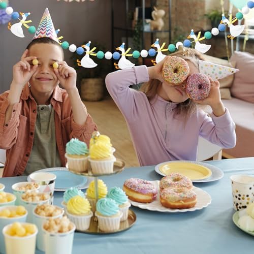 Silly Goose Birthday Banner Decorations for Boys