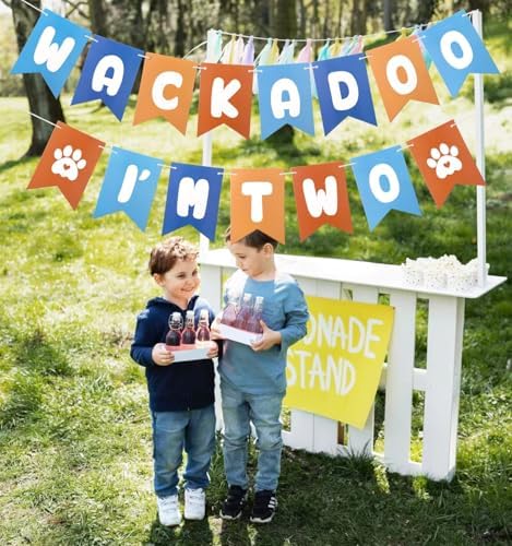 Blue Orange 2nd Birthday Decor Banner Set