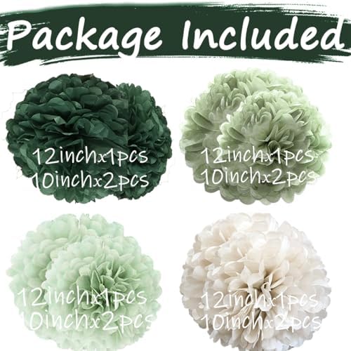 Bamonos Sage Green Tissue Paper Flower Pom Poms Kit 12pcs