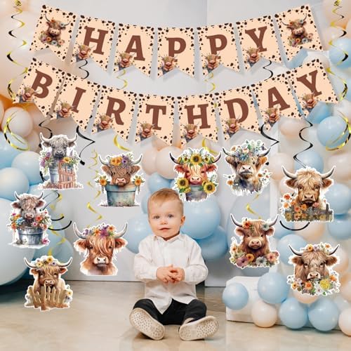 Highland Cow Birthday Decorations 16PCS Banners Hanging Swirls
