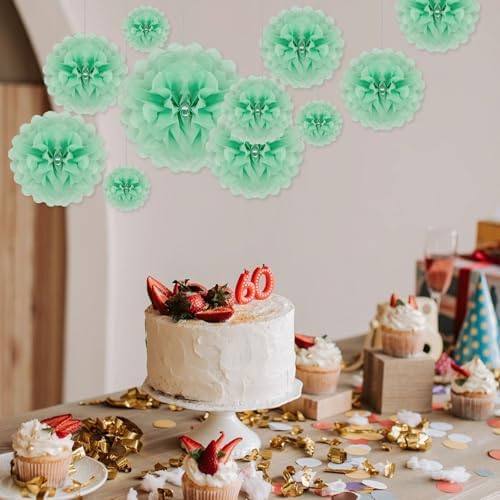 Light Green Tissue Paper Pom Poms 20 Piece Set