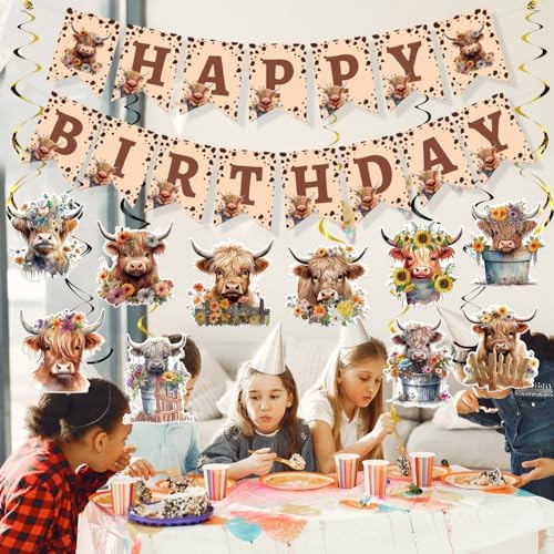 Highland Cow Birthday Decorations 16PCS Banners Hanging Swirls