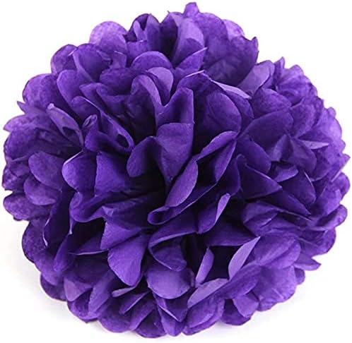 IGUO 30pcs Tissue Paper Pom Poms Garland Decorations