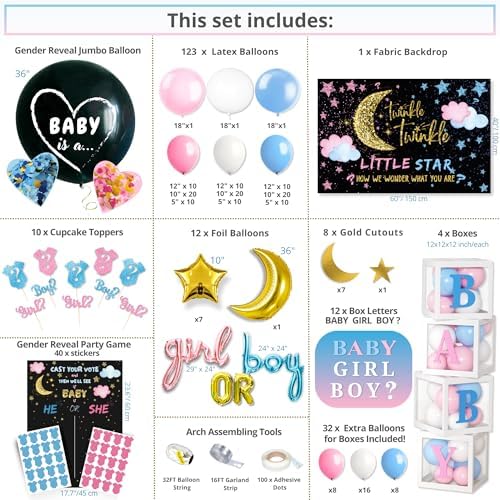 191 PC Premium Twinkle Star Gender Reveal Decor Kit