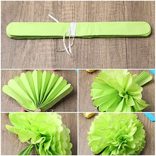Janinka 60 Pcs Tissue Pom Poms Party Decorations