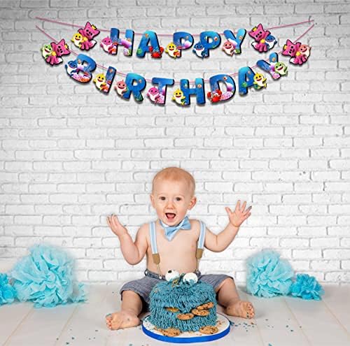 Seyal Birthday Banner for Wall Decoration