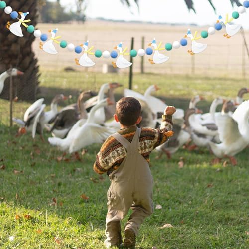 Silly Goose Birthday Banner Decorations for Boys