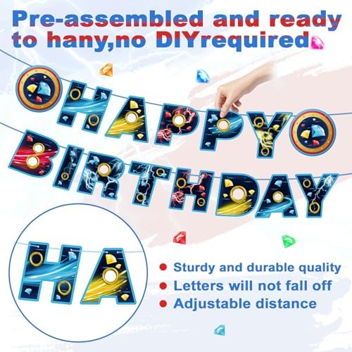 Blue Hedgehog Birthday Banner Preloaded and Ready to Hang
