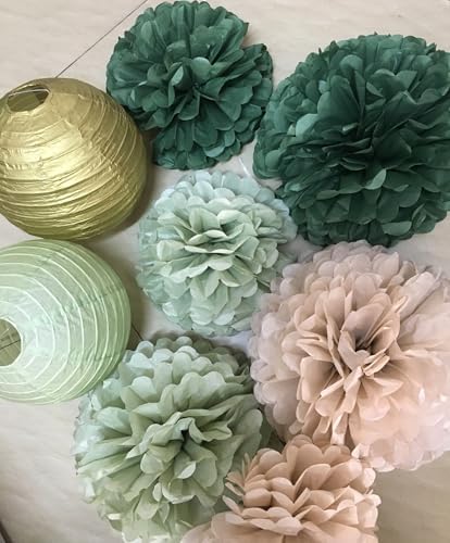 Hanging Party Decorations Tissue Pom Poms and Lanterns Backdrop