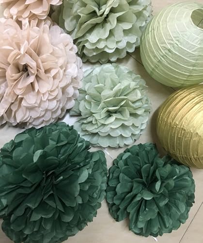 Hanging Party Decorations Tissue Pom Poms and Lanterns Backdrop