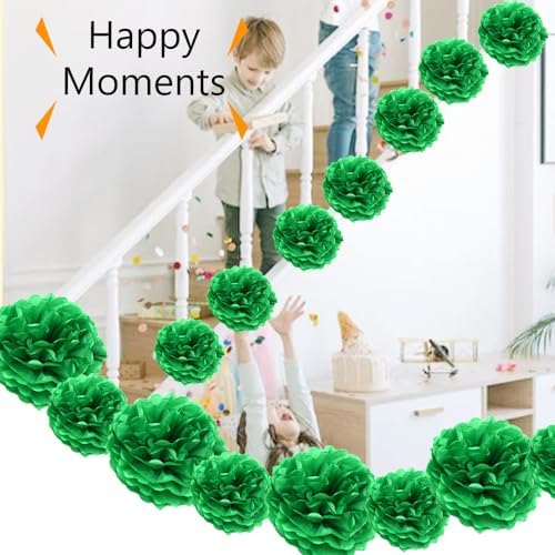 Ruidee 12 Pieces Tissue Paper Pom Poms Decorations