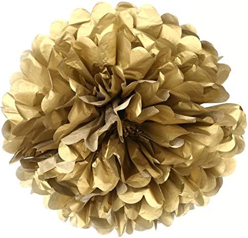 IGUO 30pcs Tissue Paper Pom Poms Garland Decorations