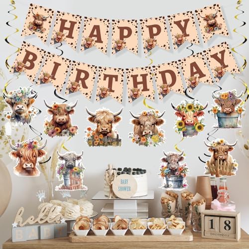 Highland Cow Birthday Decorations 16PCS Banners Hanging Swirls