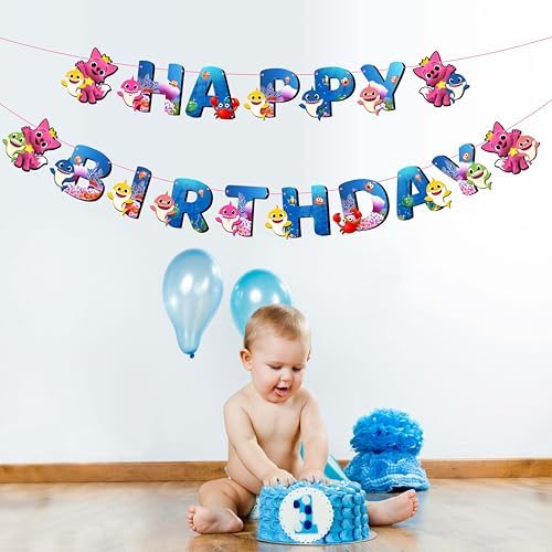 Seyal Birthday Banner for Wall Decoration