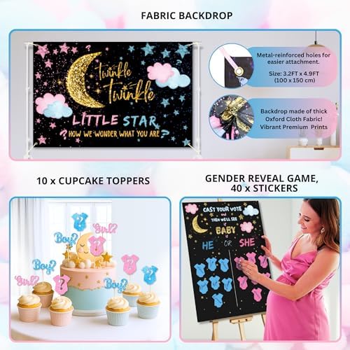 191 PC Premium Twinkle Star Gender Reveal Decor Kit