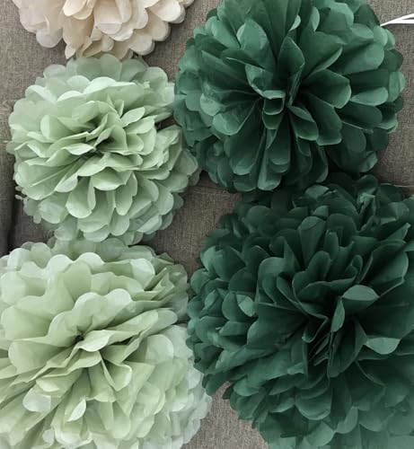 Hanging Party Decorations Tissue Pom Poms and Lanterns Backdrop