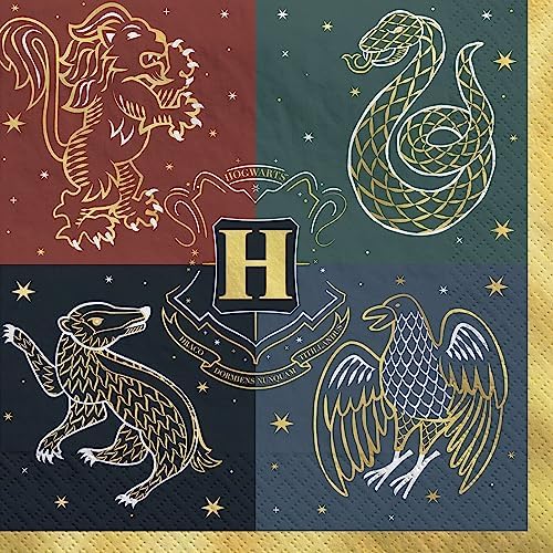 Harry Potter Hogwarts Birthday Party Supplies Bundle