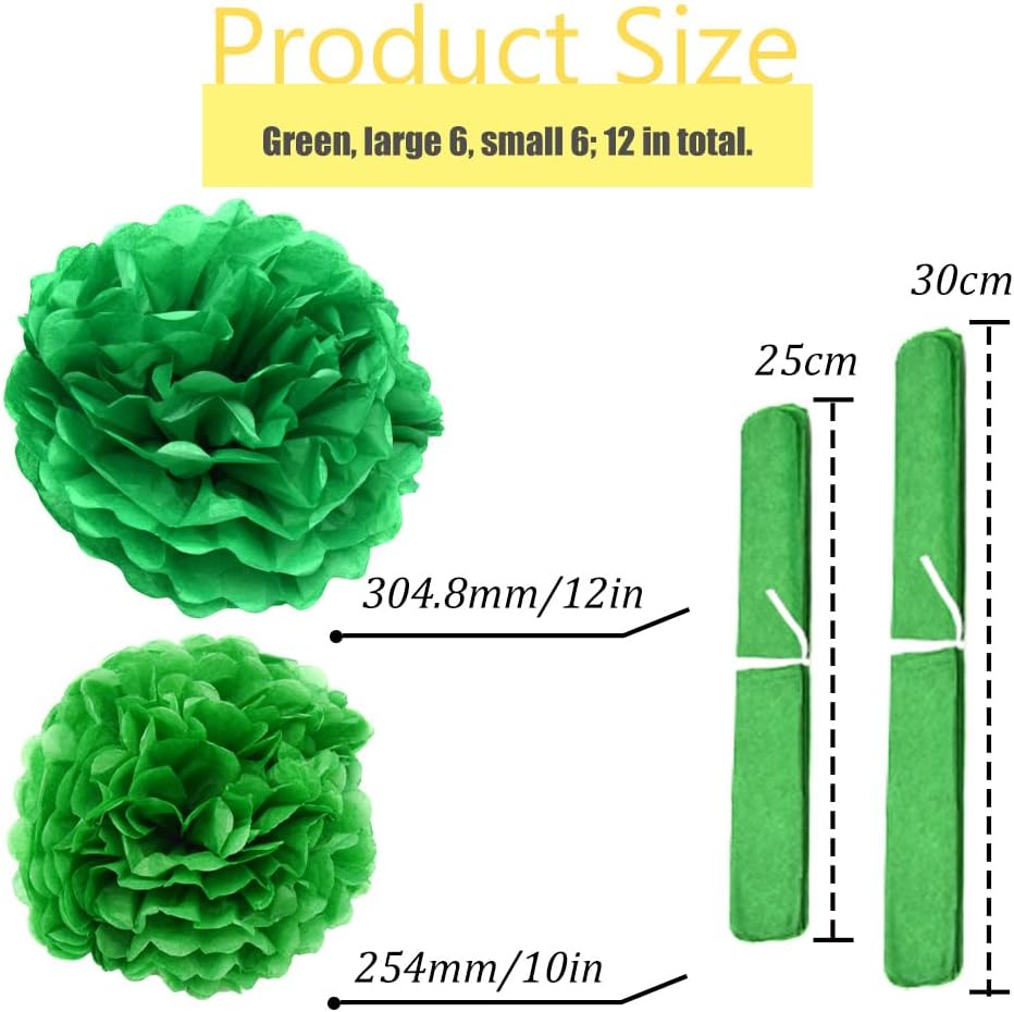 Ruidee 12 Pieces Tissue Paper Pom Poms Decorations