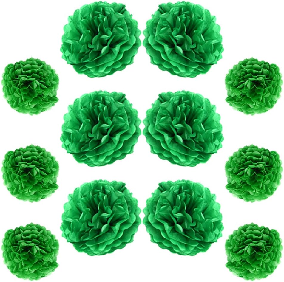 Ruidee 12 Pieces Tissue Paper Pom Poms Decorations
