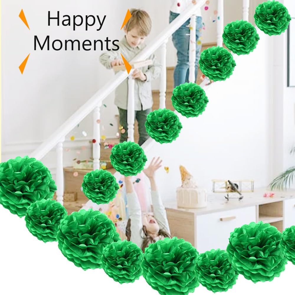 Ruidee 12 Pieces Tissue Paper Pom Poms Decorations