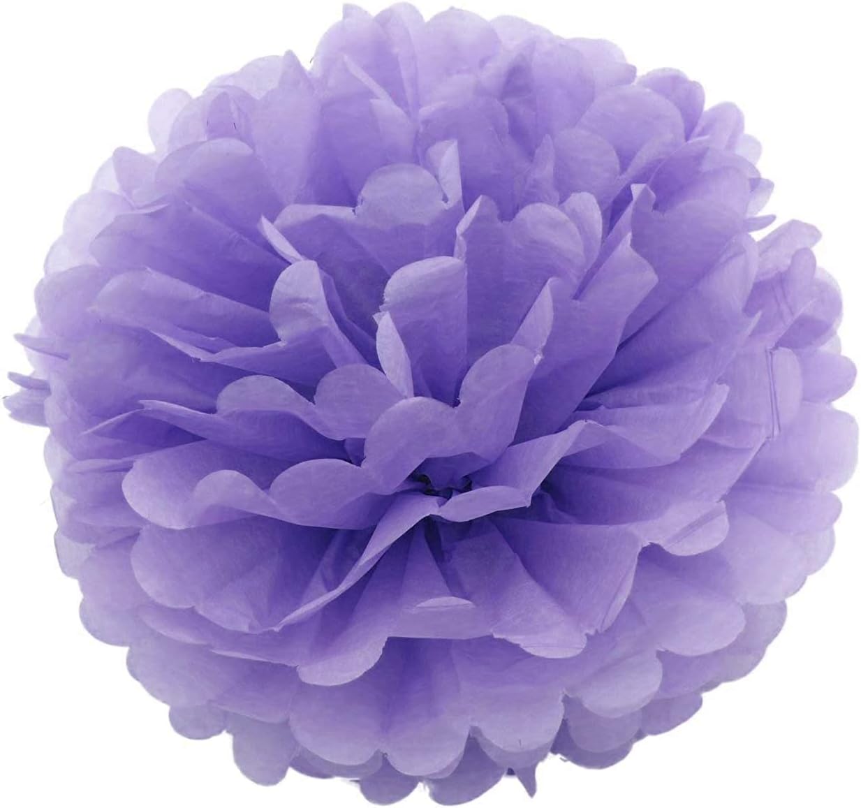 IGUO 30pcs Tissue Paper Pom Poms Garland Decorations