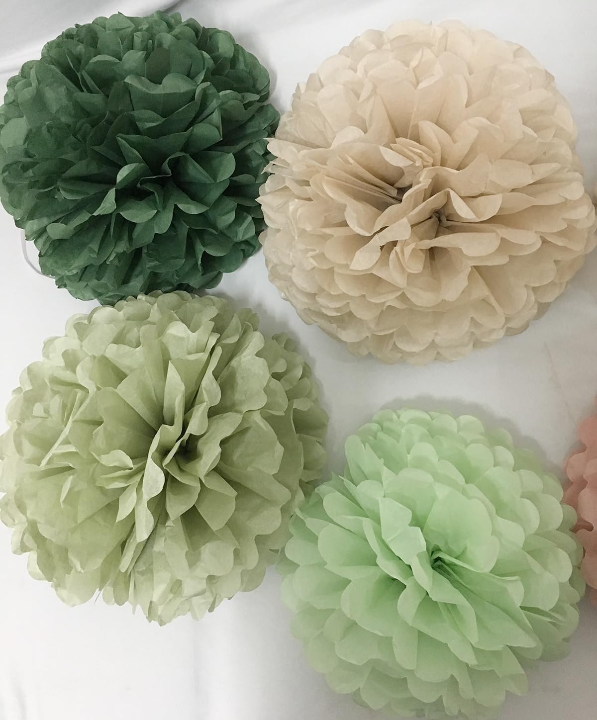 Bamonos Sage Green Tissue Paper Flower Pom Poms Kit 12pcs