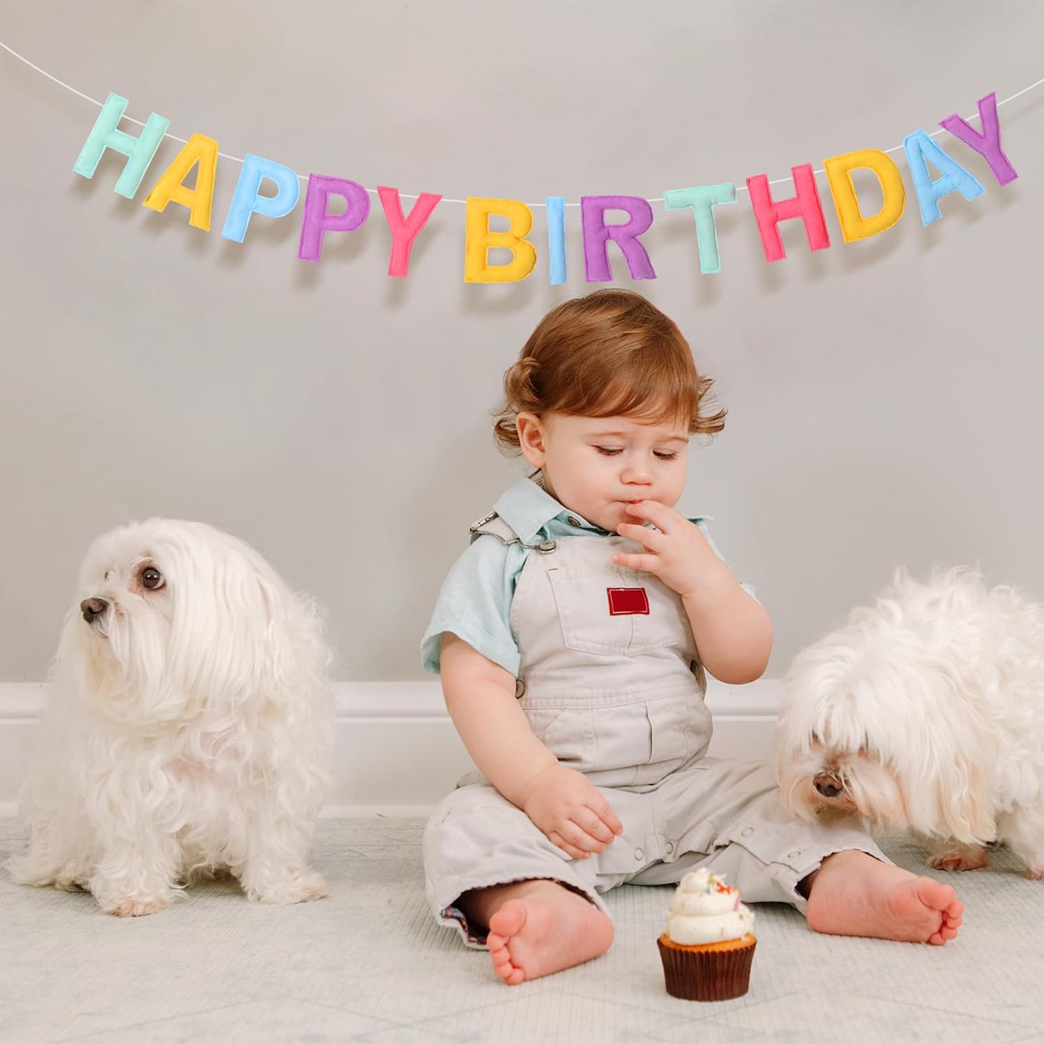 4 Pcs Felt Birthday Banner Set with Garland and Flags