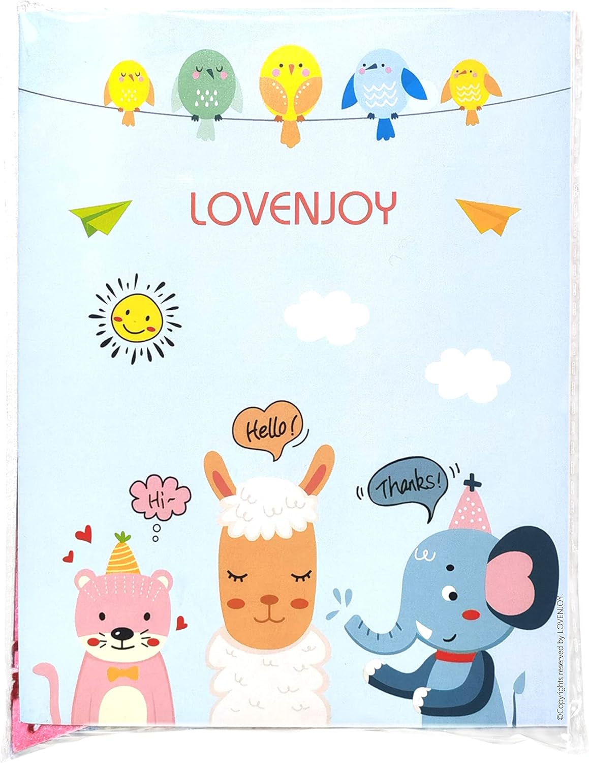 LOVENJOY 2 Rainbow Banners Felt Bunting Decorations