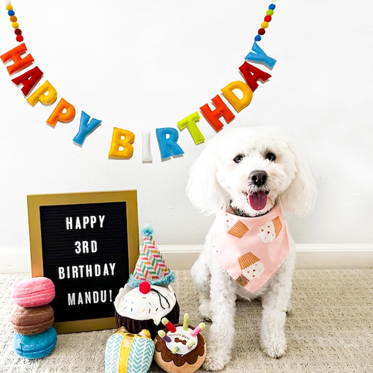 Pre-Strung Happy Birthday Banner with Wool Balls