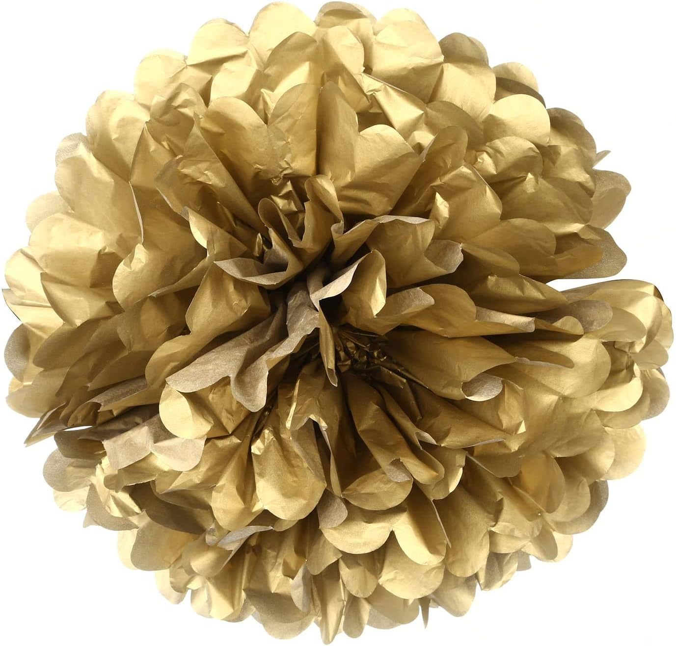 IGUO 30pcs Tissue Paper Pom Poms Garland Decorations
