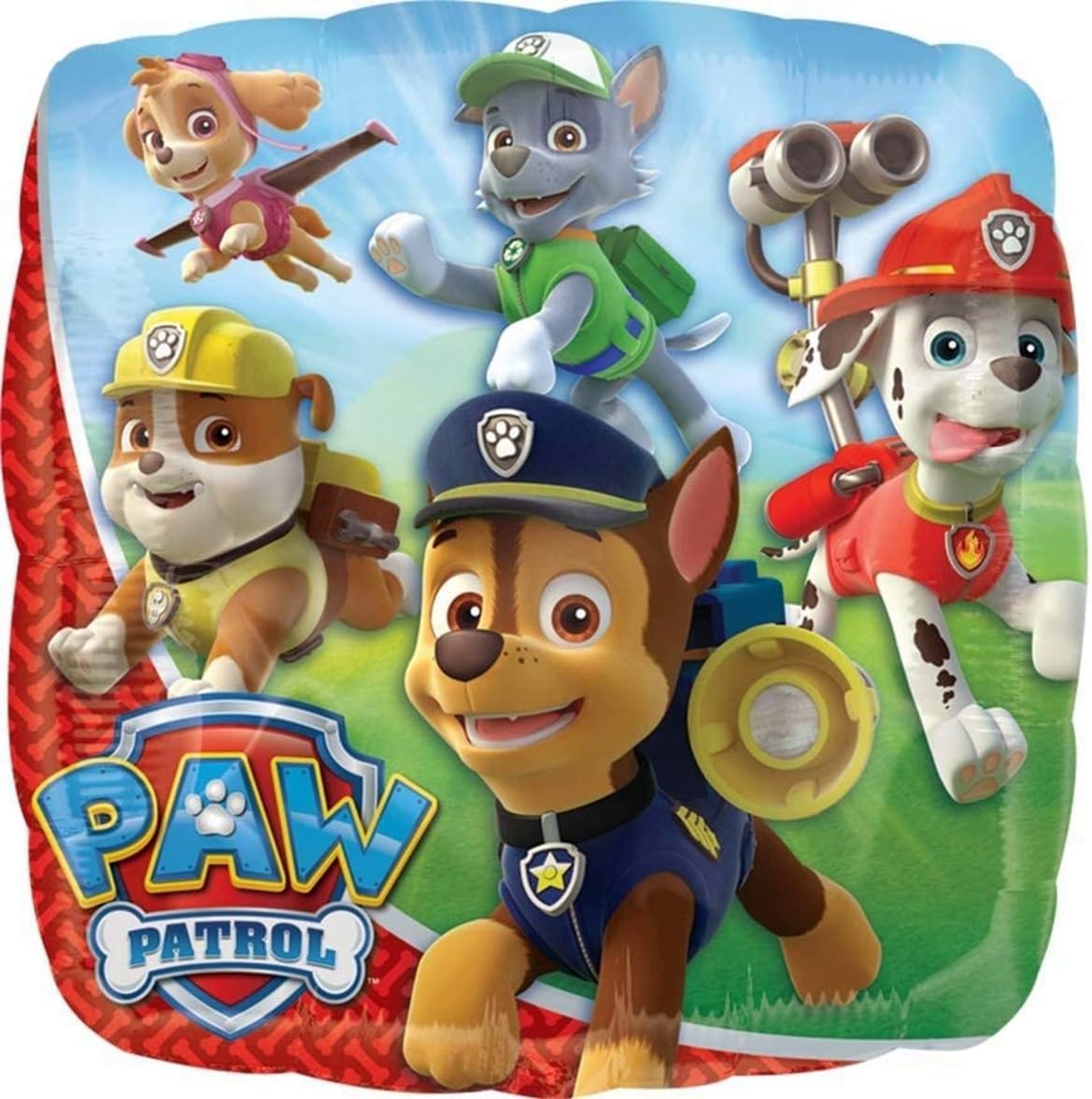Anagram Paw Pups Birthday Balloon Bouquet Decorations