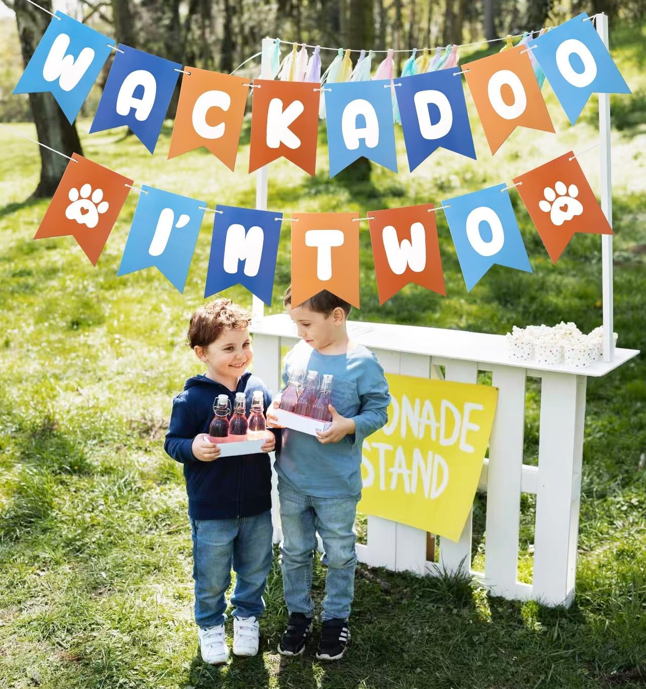 Blue Orange 2nd Birthday Decor Banner Set